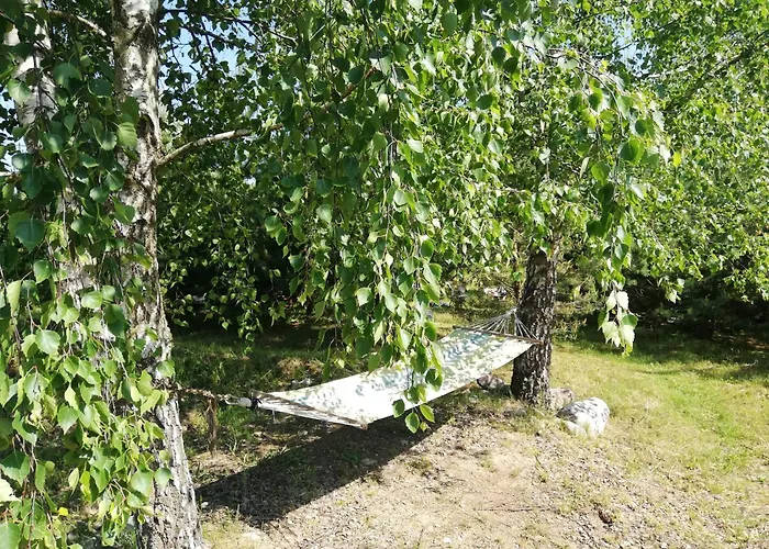 Palapine Po Pusimis