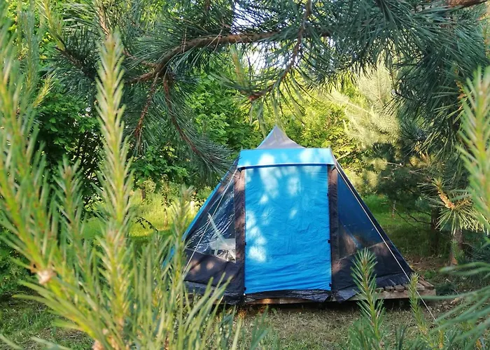 Palapine Po Pusimis